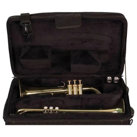 CASE 2 TRUMPETS PROTEC PB301VAX Protec - 4