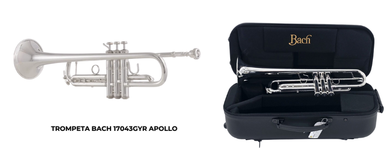 trompeta bach 17043gyr apollo