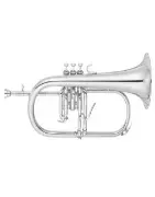 Fliscornos de pistões