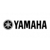 test6